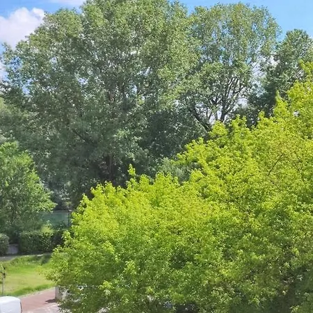 La Cinciallegra Apartman